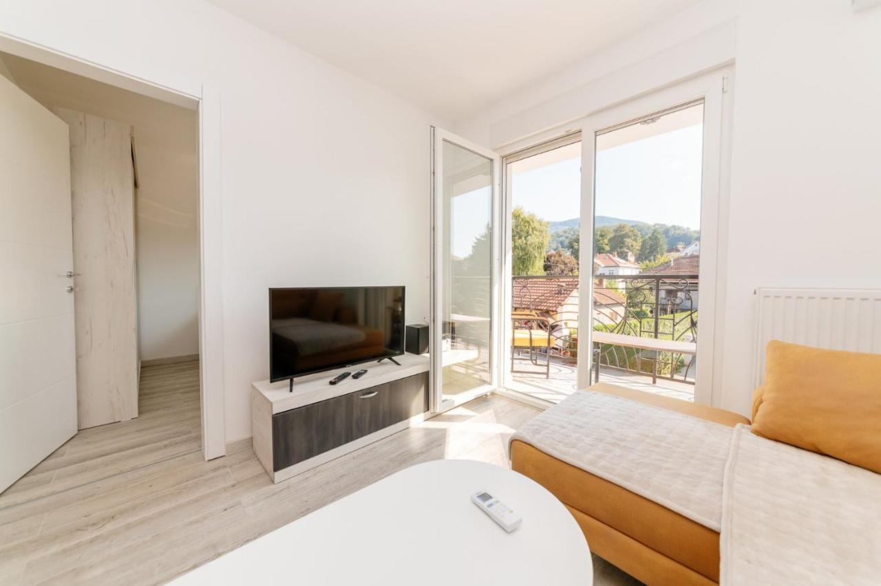 Apartman Jovana Banja Koviljača Dış mekan fotoğraf